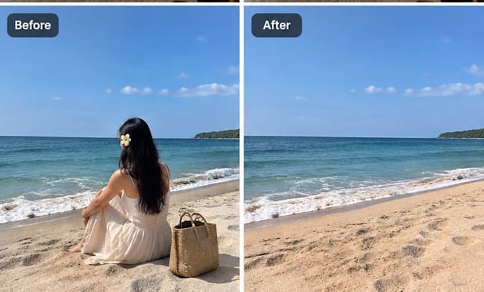 professionally remove objects from photos