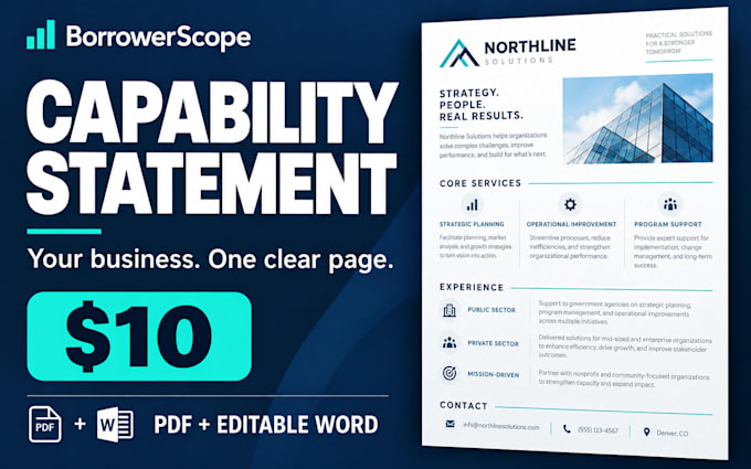 create a professional one page business capability statement