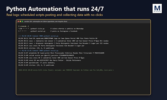 automate repetitive tasks with a custom python script