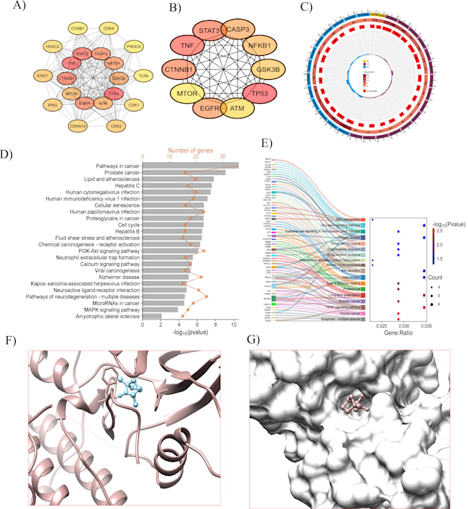 network pharmacology, docking and MD simulation