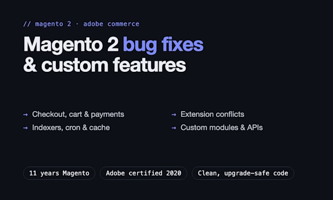 fix bugs and develop custom features for your magento 2 store
