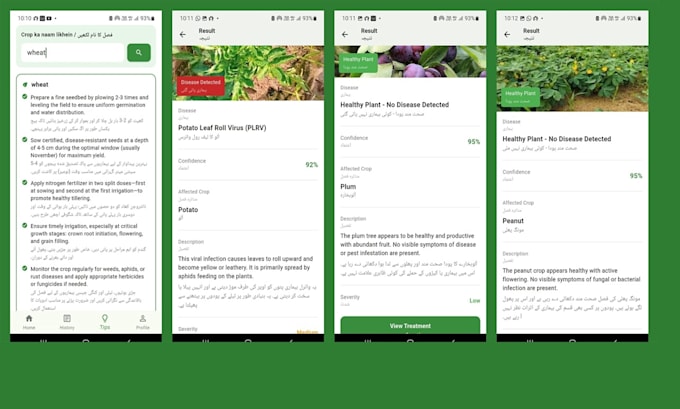 develop android app and flutter mobile app for android and ios