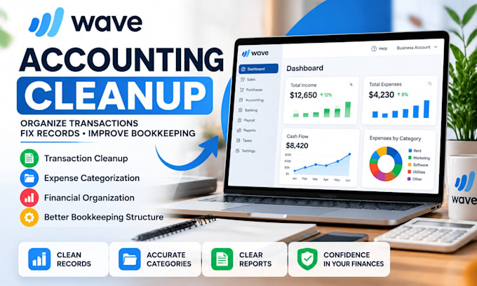 provide wave accounting cleanup and financial organization