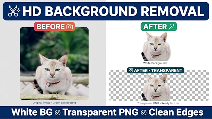 do professional photo editing HD and background removal