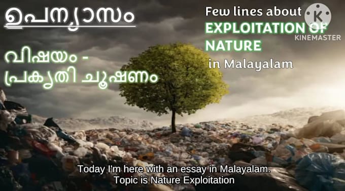 do malayalam translation from english and vice versa