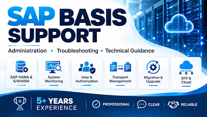 provide professional sap basis administration and support