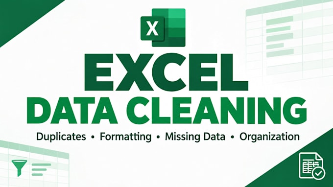 clean , format and organize the excel data