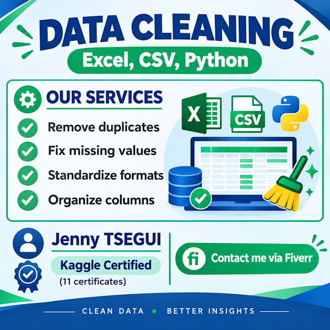 clean and organize your excel or CSV data professionally