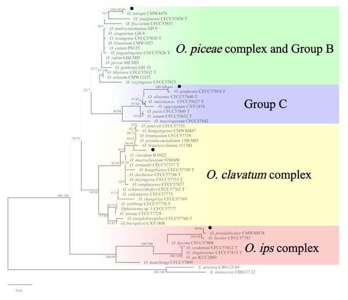perform phylogenetic analysis for 16s rrna its and dna sequences