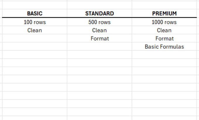 clean, organize and format your excel spreadsheet