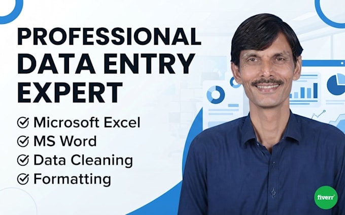 do ms excel data entry,i am an expert in microsoft excel