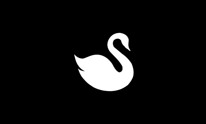 create a professional logo desgin and brand identy