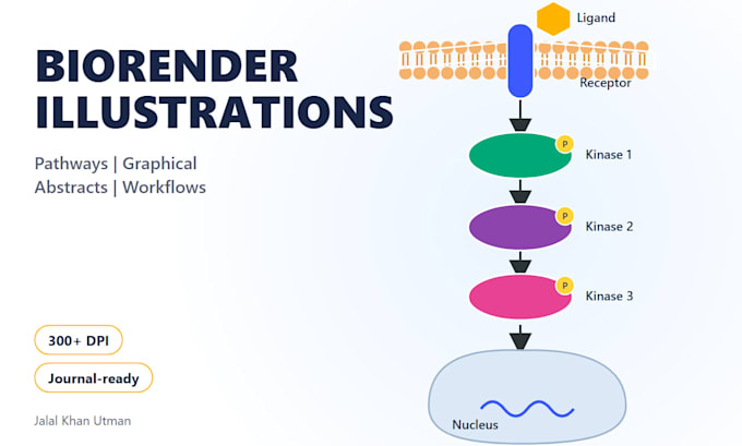 create biorender scientific illustrations and graphical abstracts