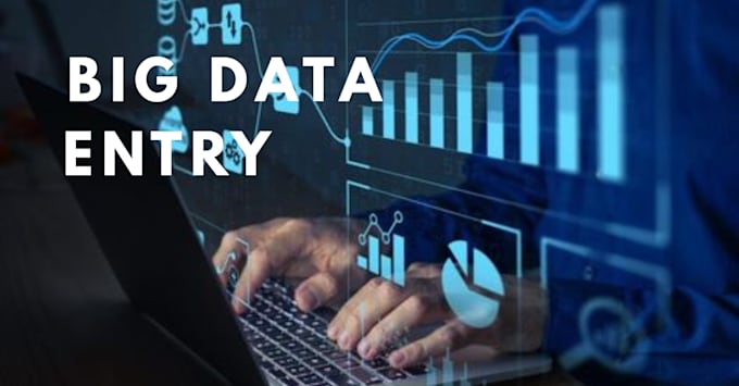 provide big data entry for businesses, bulk processing and excel tasks