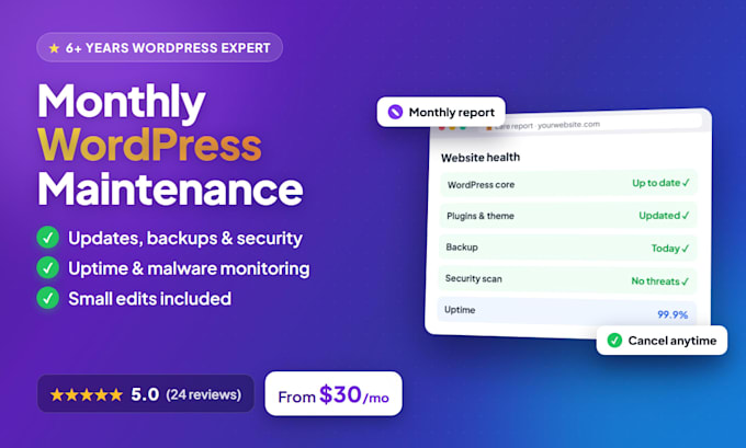 do monthly wordpress maintenance and security updates