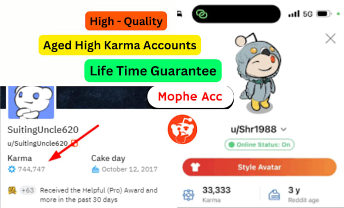 Deliver of reddit account,20k karma,reddit bulk followers,community ...