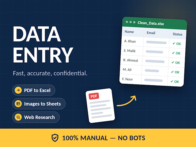 do accurate manual data entry from pdf image or website to excel
