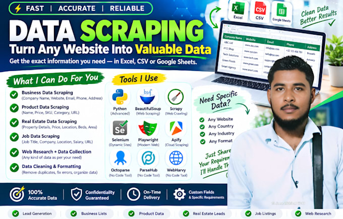 extract and organize web data from websites into excel