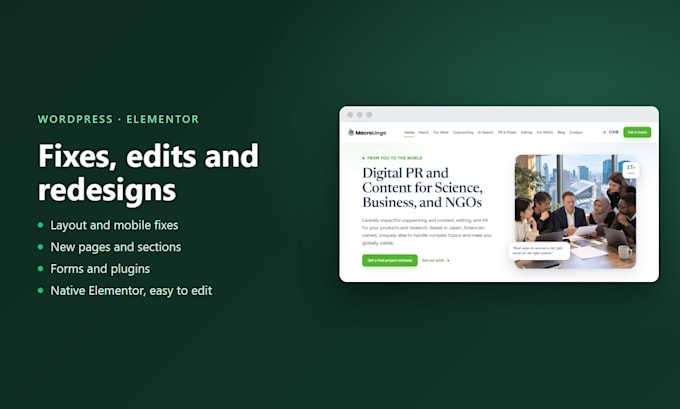 fix, edit or customize your wordpress elementor website