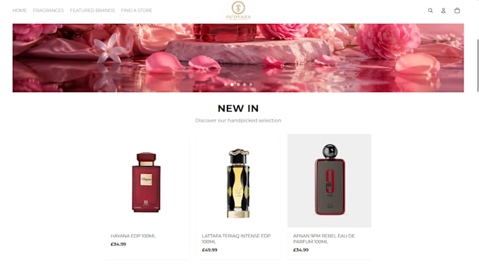 build a professional shopify store for your e commerce business