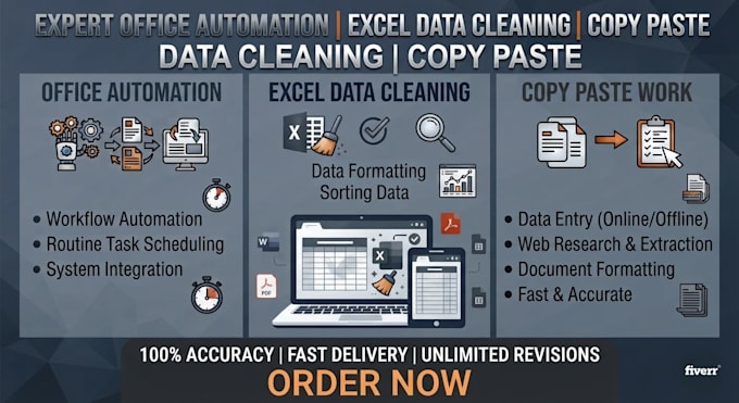 do office automation, excel data cleaning, data entry work