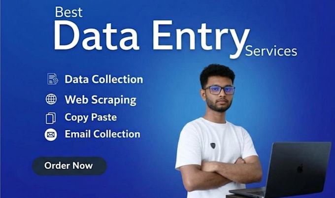 do accurate data entry, data collection, web scraping excel