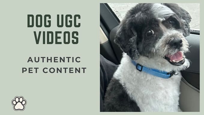 create authentic dog ugc videos for your pet brand