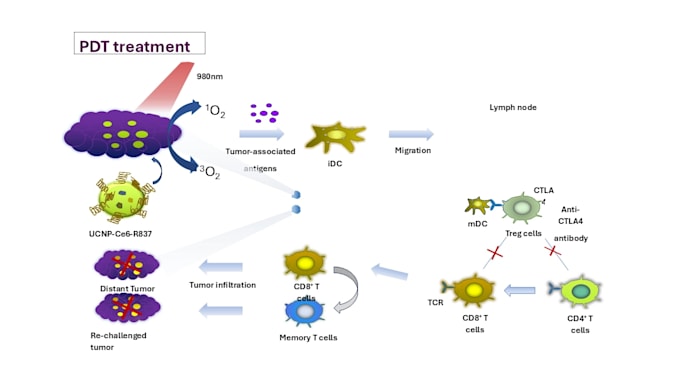 create scientific illustrations, and graphical abstracts