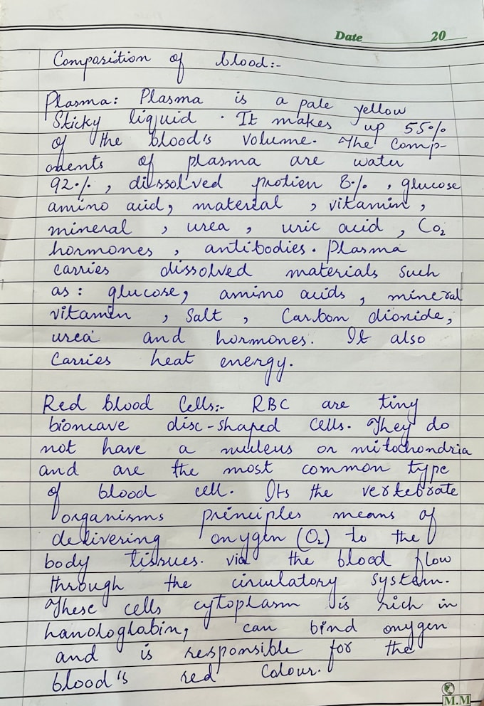 write professional neat and clean hand written notes and assignments