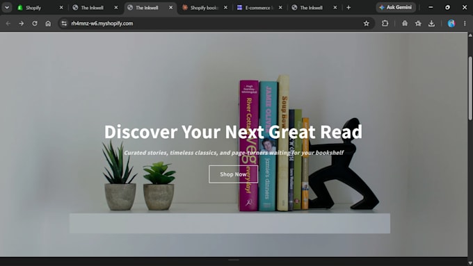 create a professional shopify store
