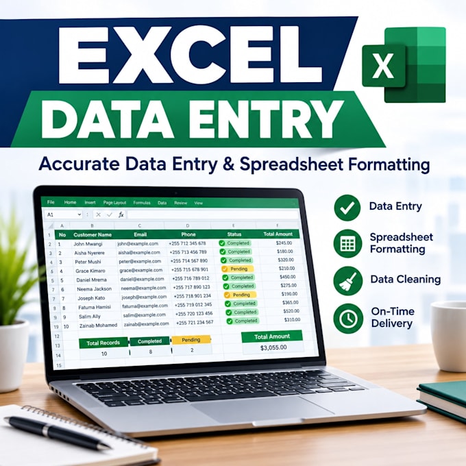 accurate excel data entry and spreadsheet formatting