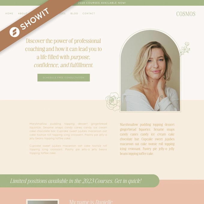 design, redesign showit website