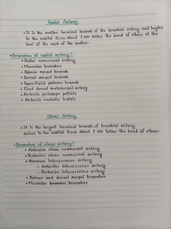 write handwritten notes, letters and anything customized