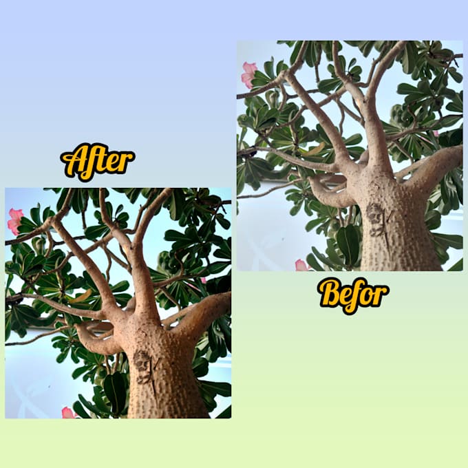 create image with best quality for you