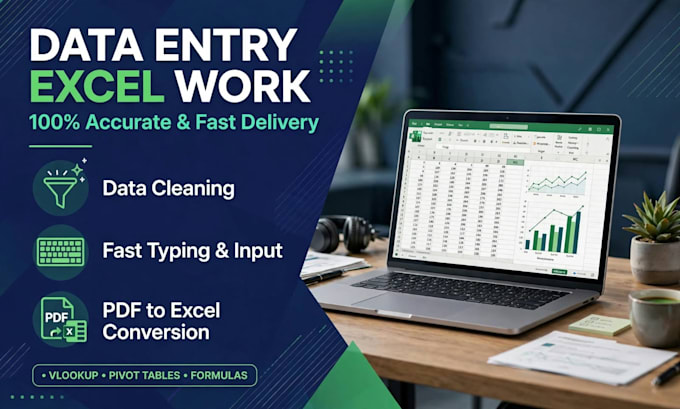 do data entry,data cleaning and excel work