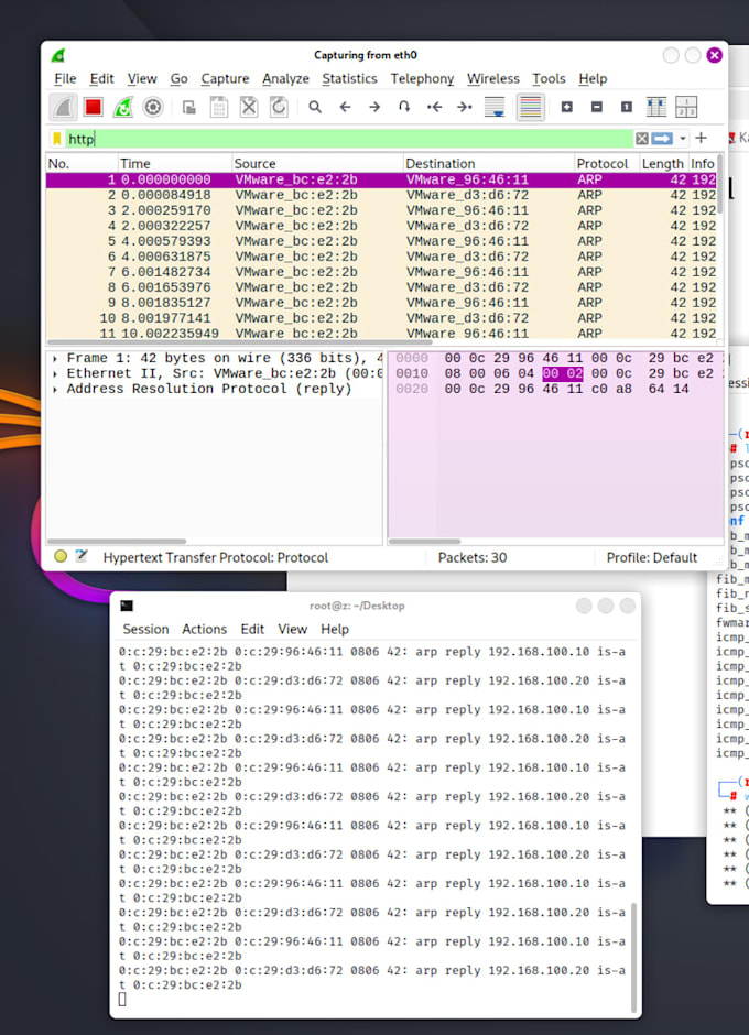 penetration test and vulnerability assess your web application