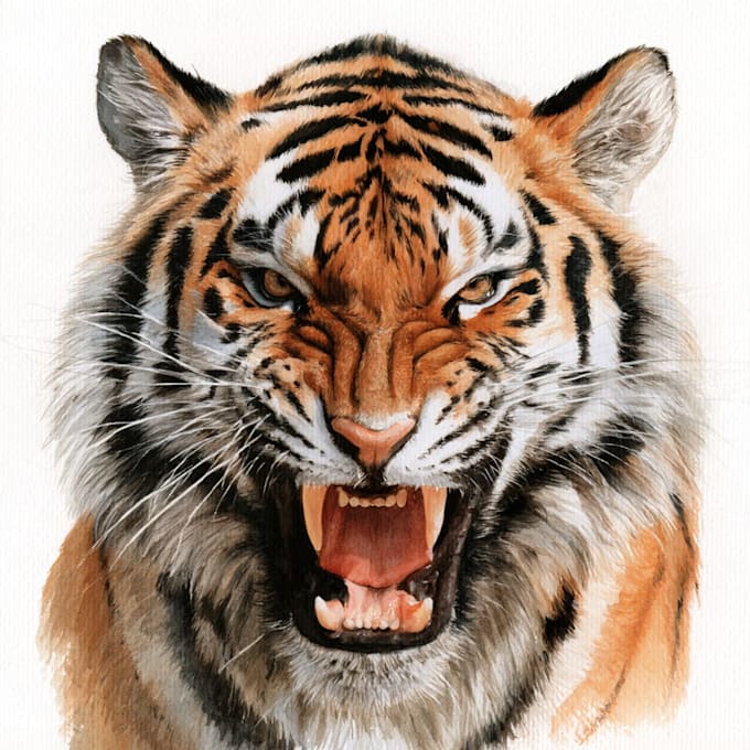 create realistic animal illustration