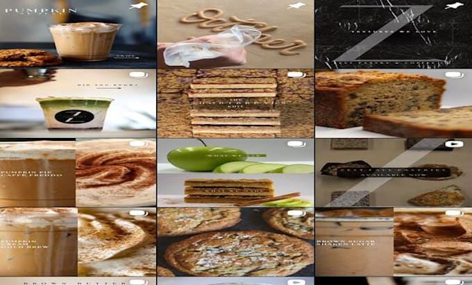 create high converting ugc video content for your brand