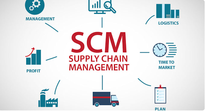 do supply chain, logistics and operations analysis, sops and reports