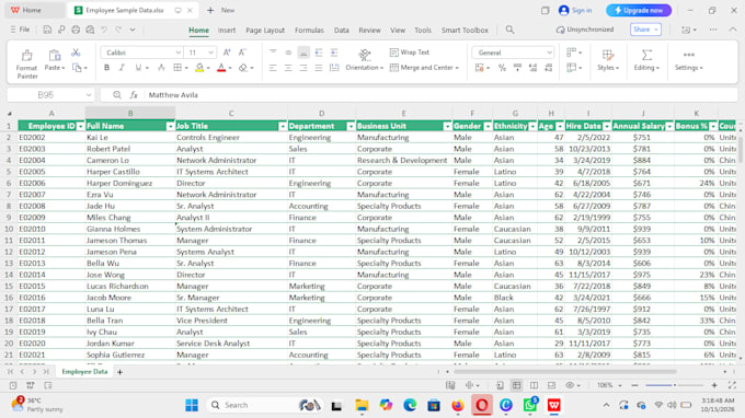 excel data entry, copy typing and data cleaning