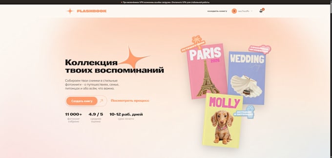 build a custom ecommerce website with admin panel and payments