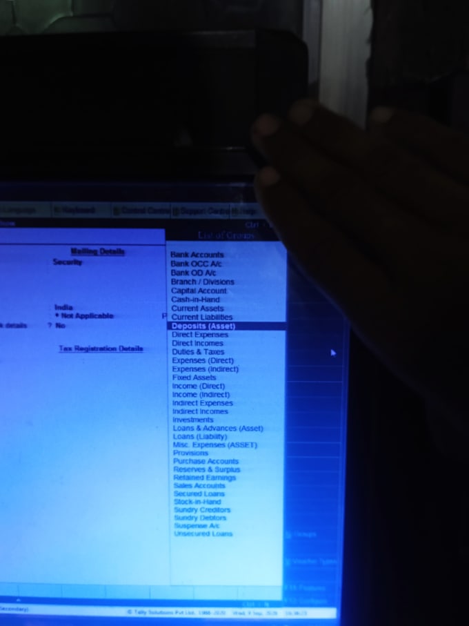 do professional excel and tally data entry work