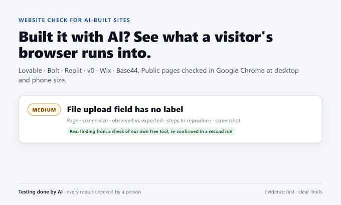 test your ai built website and send a prioritized bug report
