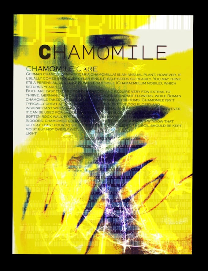 design an experimental poster for your concert, gig or event