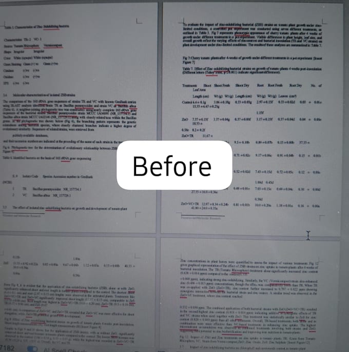 formate your thesis and research paper