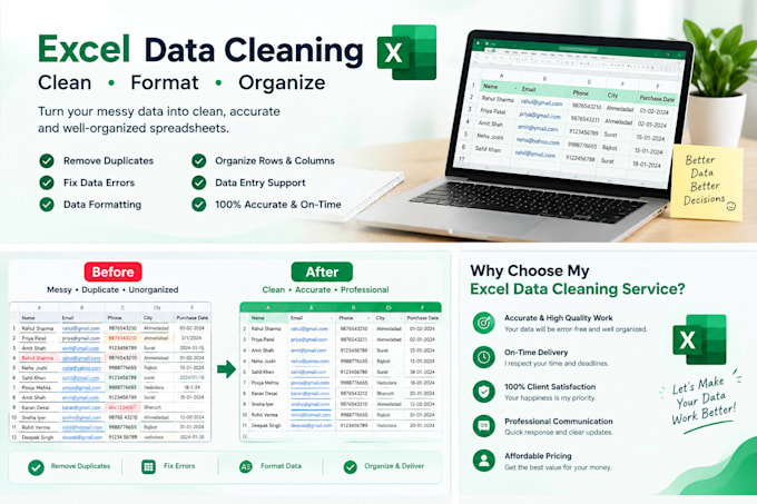clean, format and organize excel data professionally