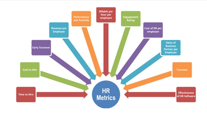 payroll , excel , compliances , mis, dashboard