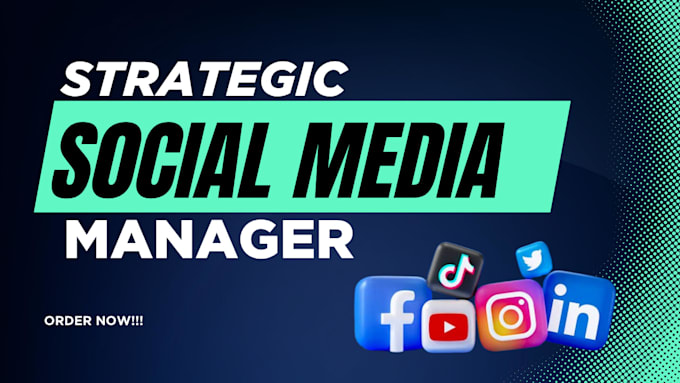 be your social media manager and content creator