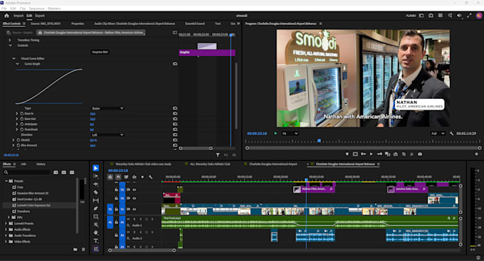 polish your premiere pro project