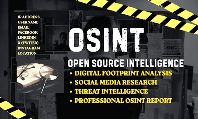 perform professional osint investigation and research